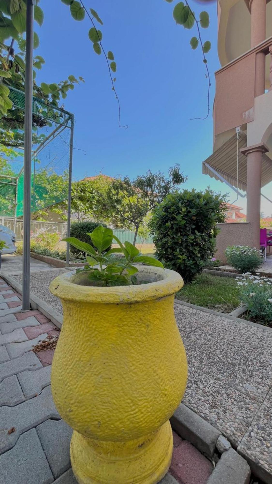 Apartments Villa Rotim Zadar Buitenkant foto